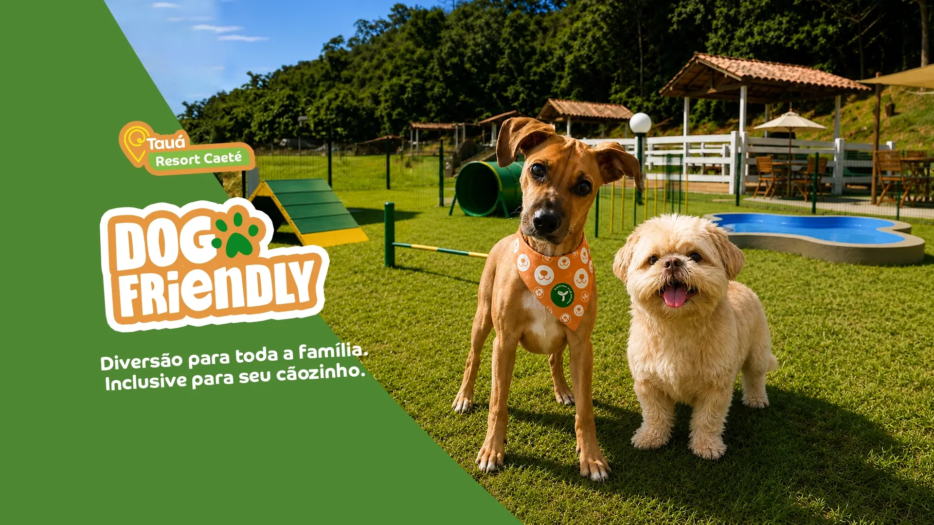 dog friendly