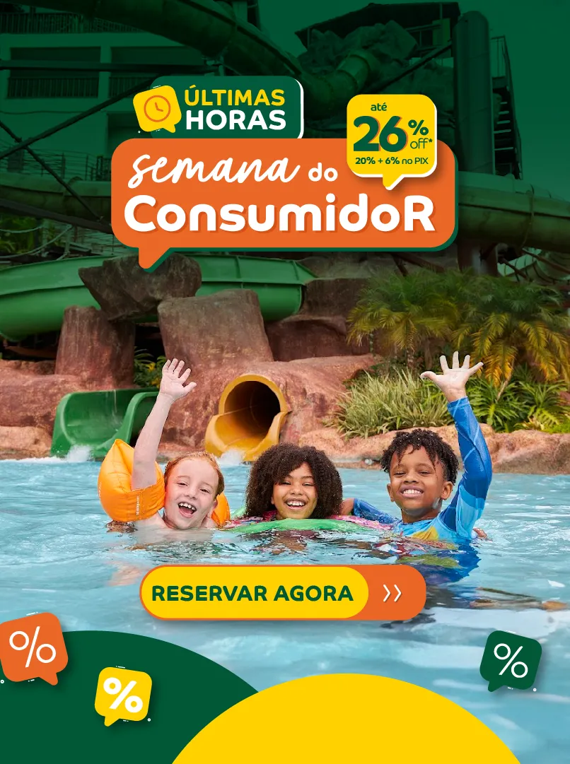 consumidor 26