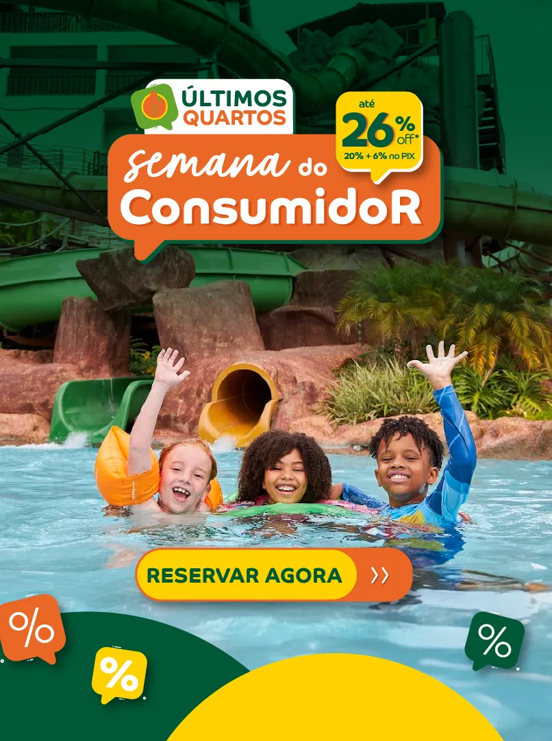 consumidor 26